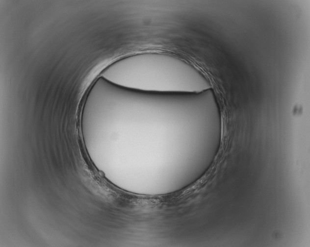 X0000113610147200909181100