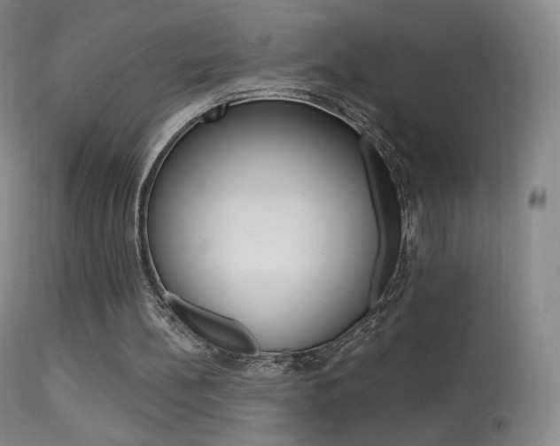 X0000113610148200909181100