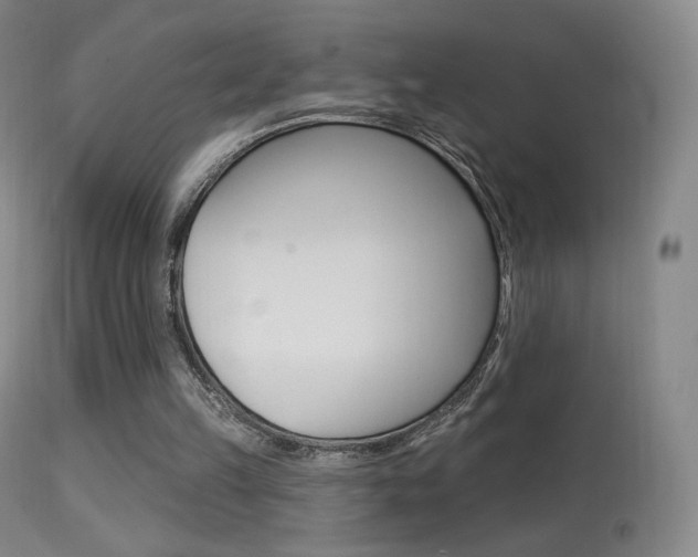 X0000113610149200909181100