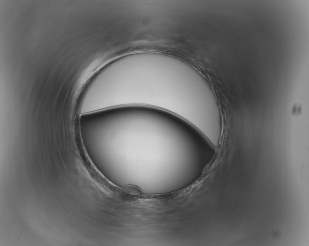 X0000113610150200909181100