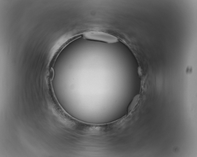 X0000113610152200909181100