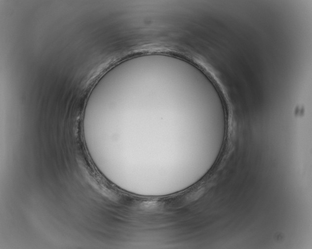 X0000113610153200909181100