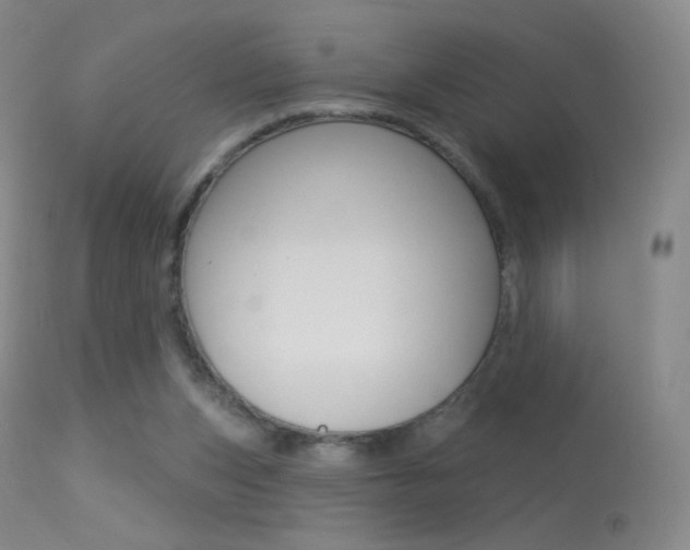 X0000113610159200909181100