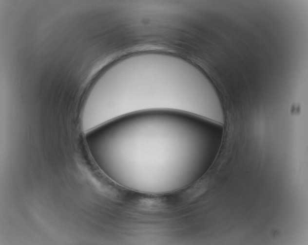 X0000113610160200909181100