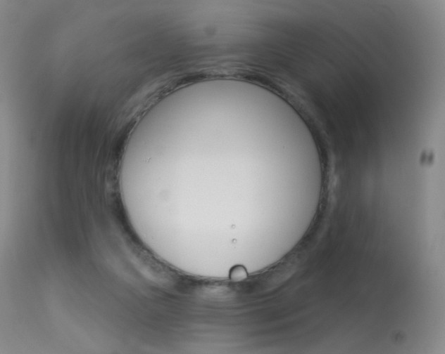 X0000113610161200909181100