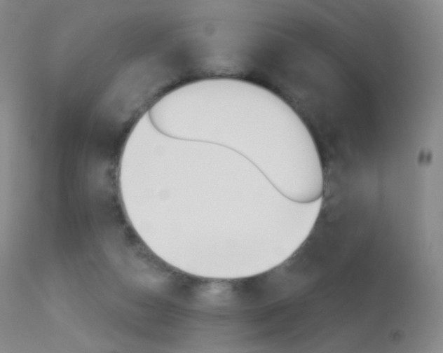 X0000113610162200909181100