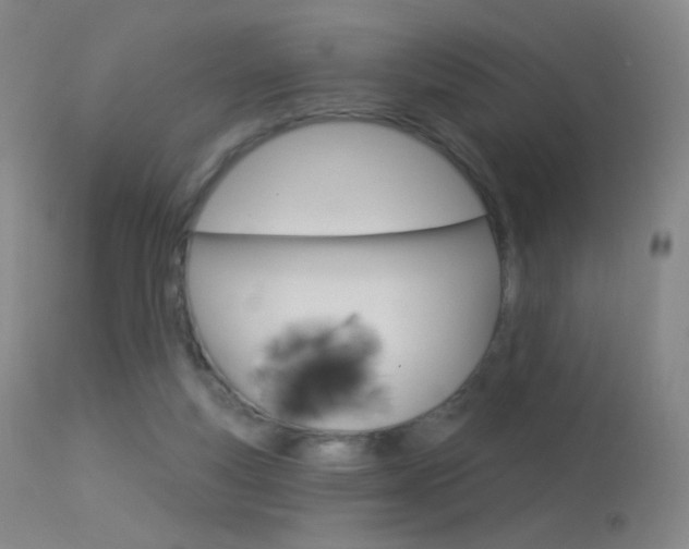 X0000113610163200909181100