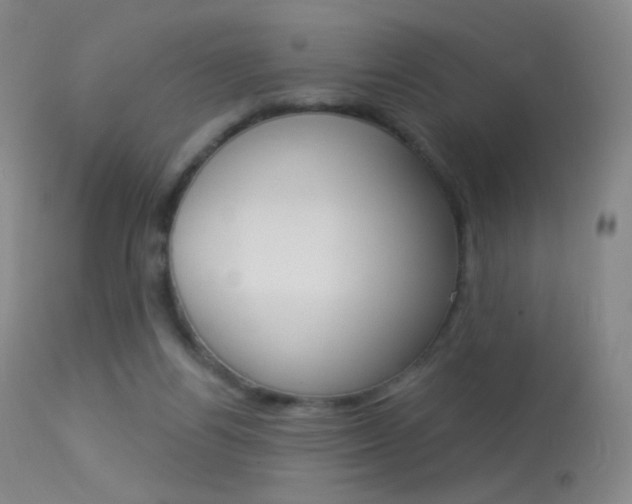 X0000113610164200909181100