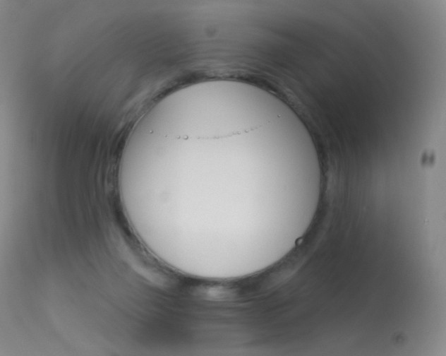 X0000113610165200909181100