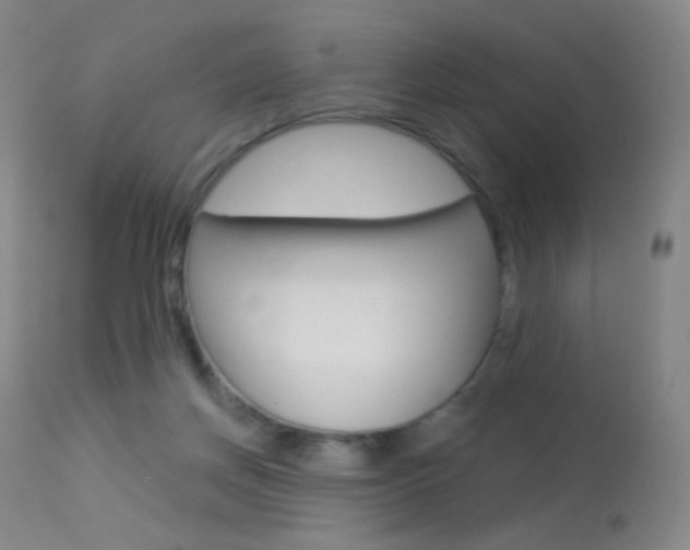 X0000113610166200909181100