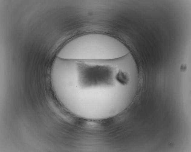X0000113610167200909181100