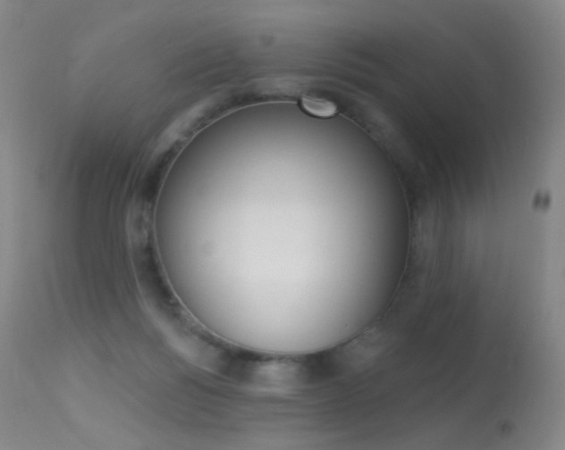 X0000113610168200909181100