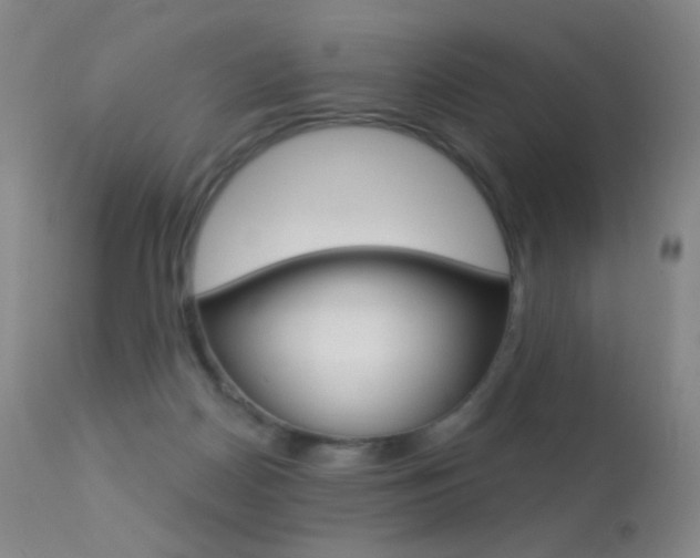 X0000113610170200909181100