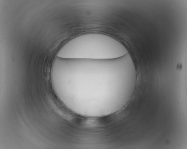 X0000113610171200909181100