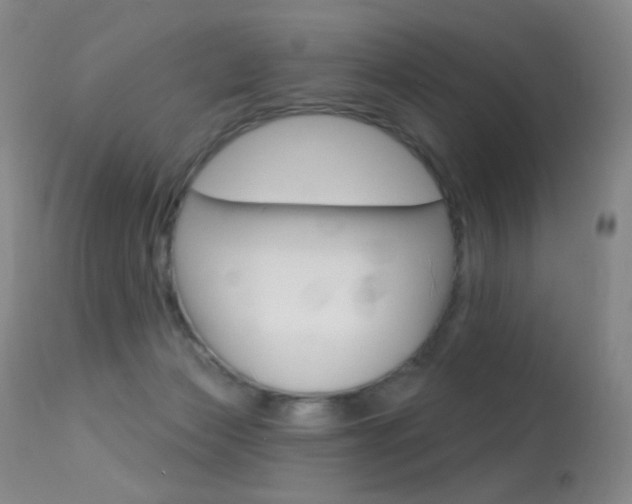 X0000113610173200909181100