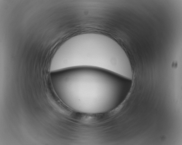 X0000113610174200909181100