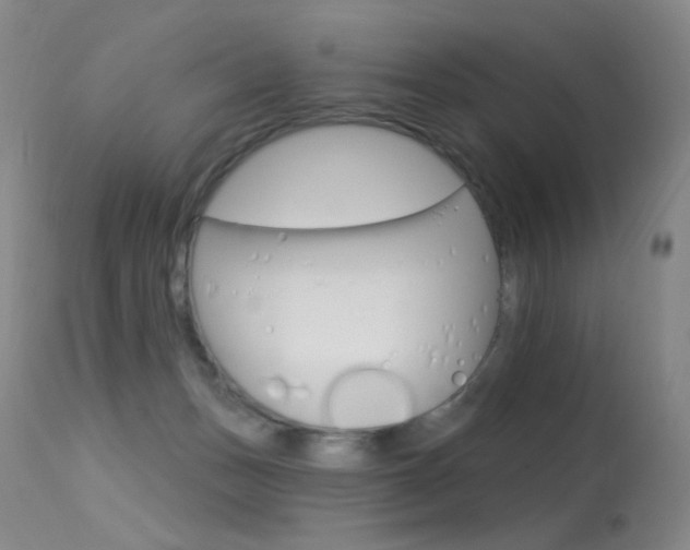 X0000113610175200909181100
