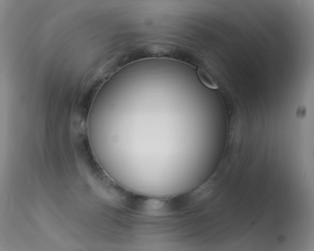 X0000113610176200909181100