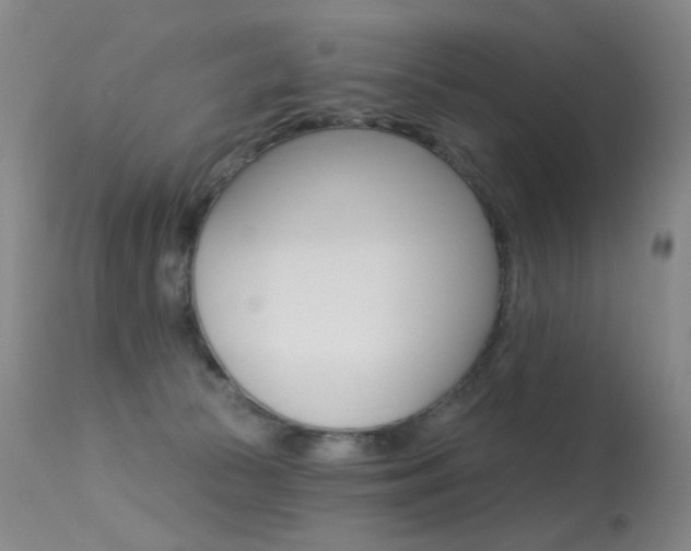 X0000113610177200909181100
