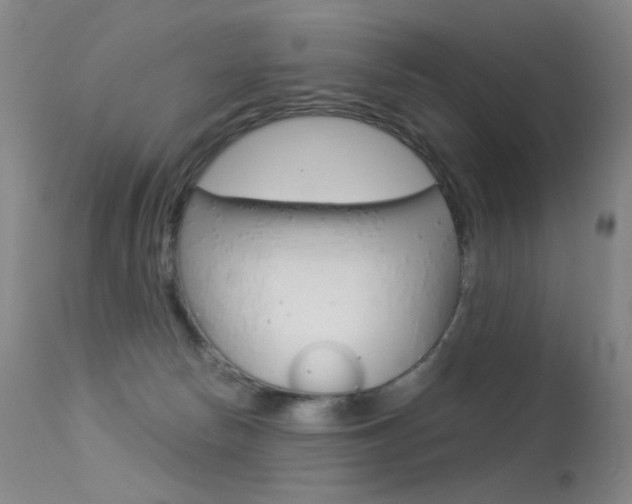 X0000113610178200909181100