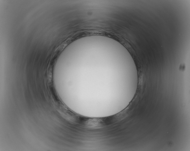 X0000113610179200909181100