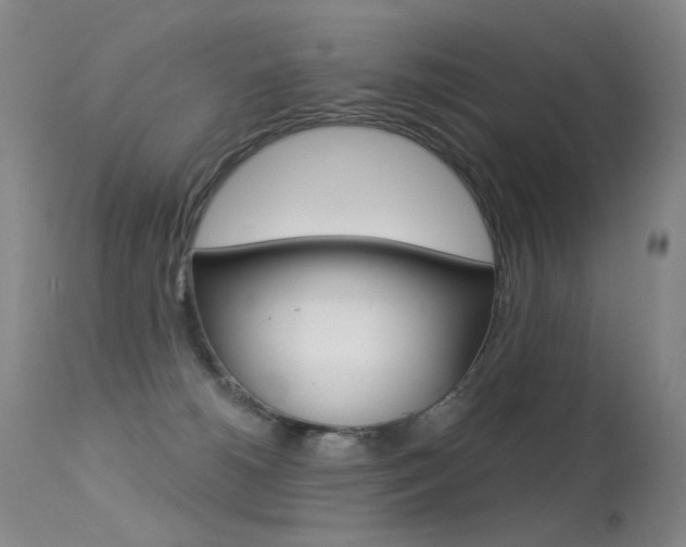 X0000113610180200909181100