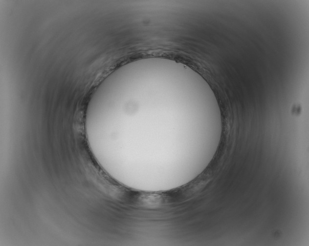 X0000113610181200909181100