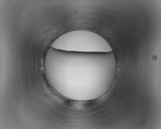 X0000113610182200909181100