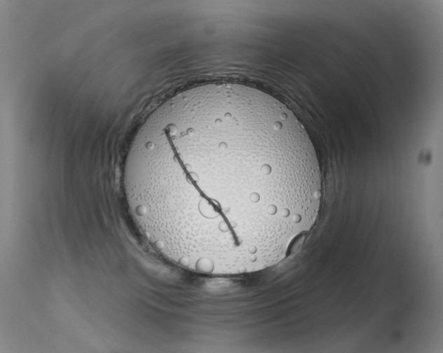 X0000113610183200909181100