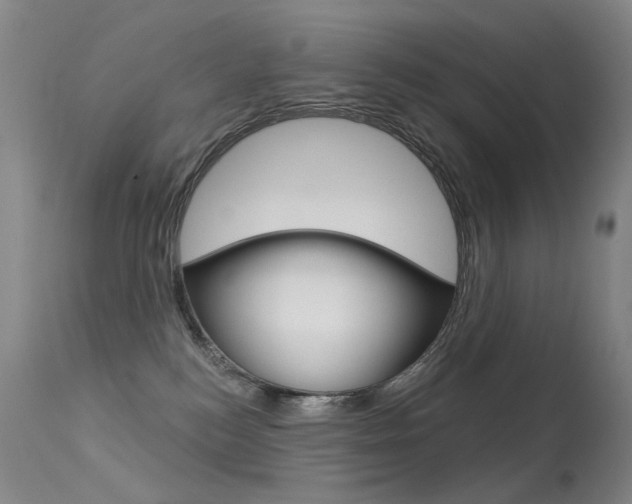 X0000113610184200909181100