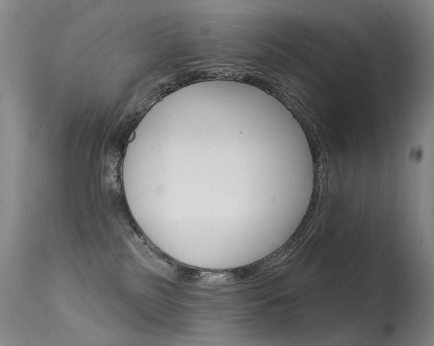 X0000113610185200909181100