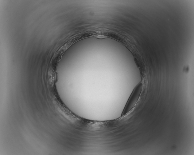 X0000113610186200909181100