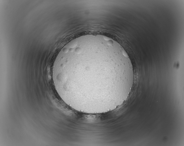 X0000113610187200909181101