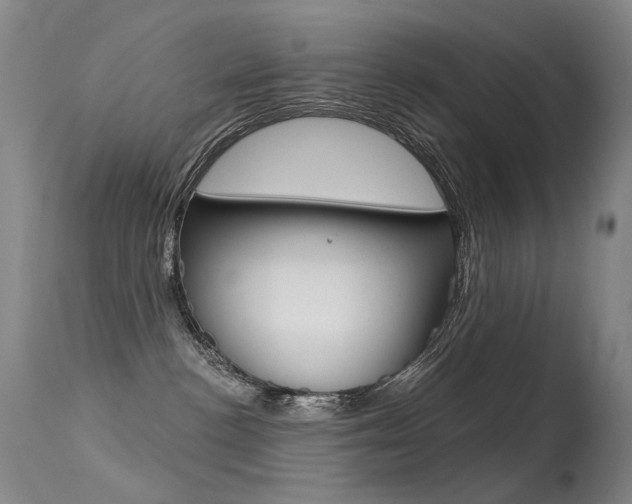 X0000113610188200909181101