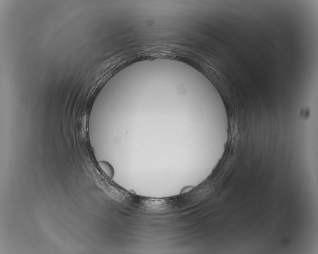 X0000113610189200909181101