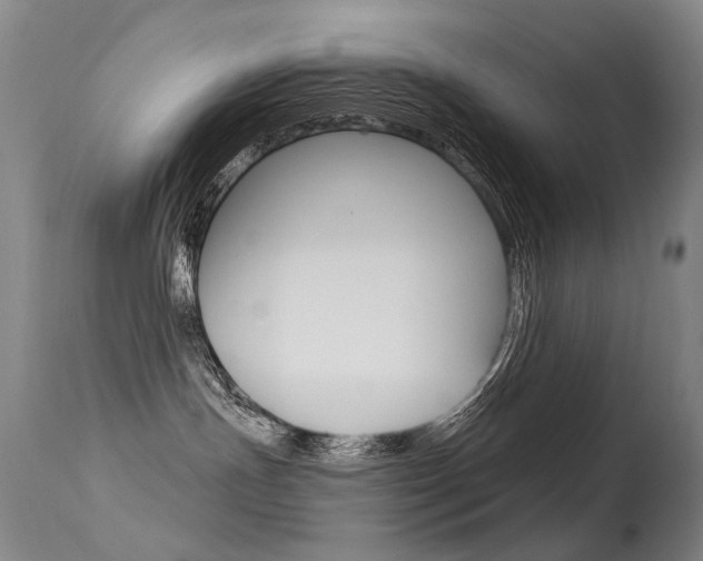 X0000113610191200909181101
