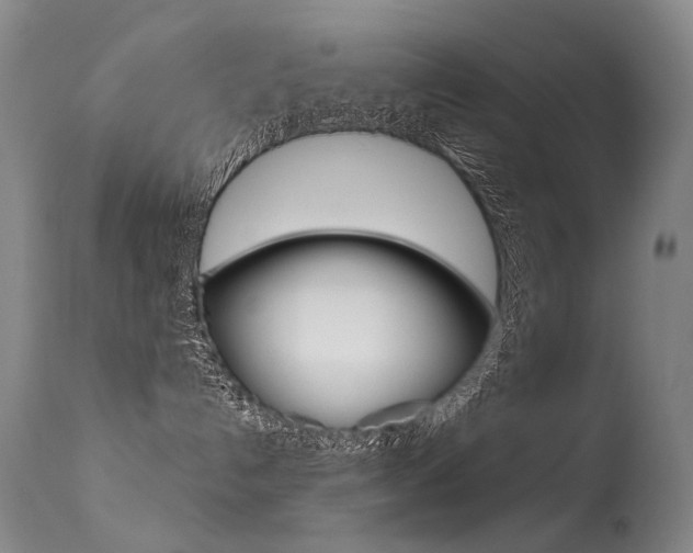 X0000113610192200909181101