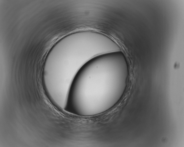 X0000113610193200909181100