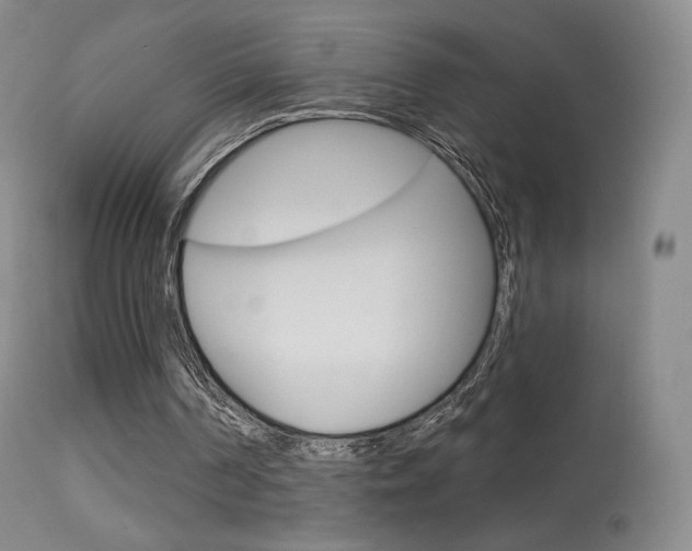 X0000113610194200909181100