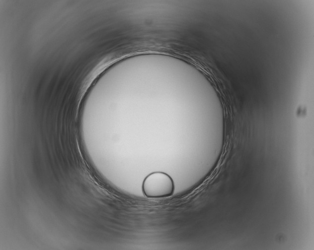 X0000113610195200909181100