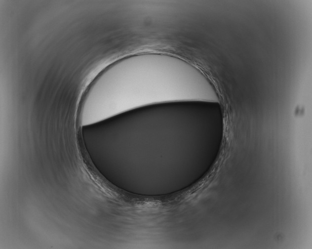 X0000113610196200909181100
