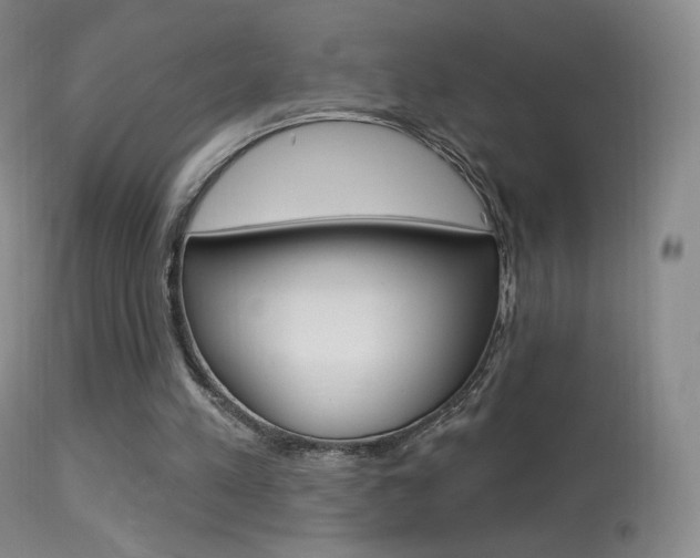 X0000113610197200909181100
