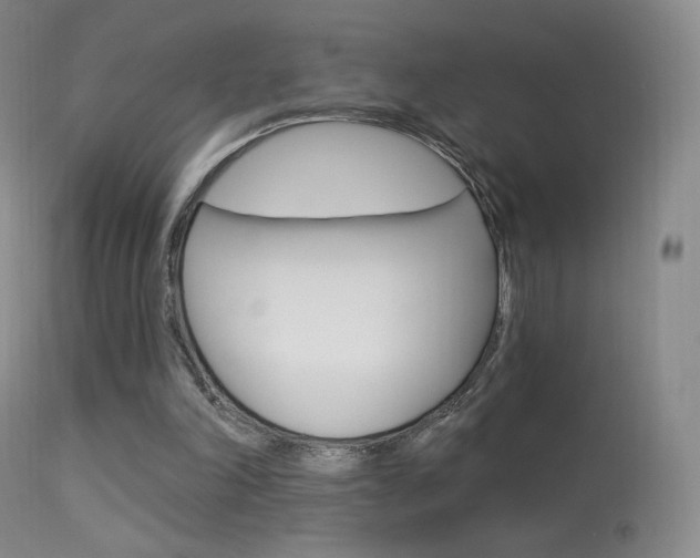 X0000113610198200909181100