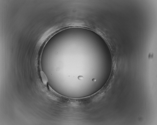 X0000113610199200909181100