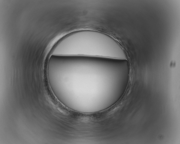 X0000113610200200909181100
