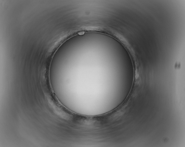 X0000113610201200909181100