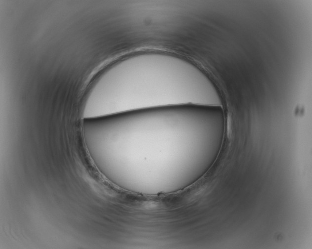 X0000113610204200909181100