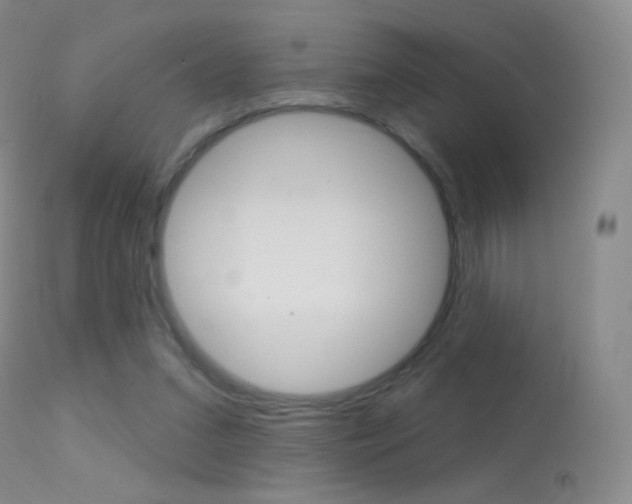 X0000113610207200909181100