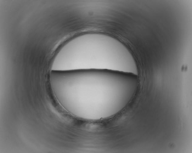 X0000113610208200909181100