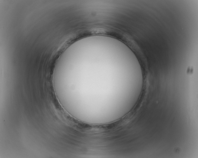 X0000113610209200909181100
